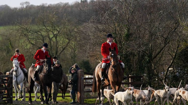 Britisches Brauchtum: Laute Forderungen nach Jagdverbot in England