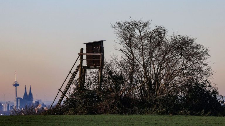 Aussichten: Warmes Sauerland, kaltes Rheinland: Verdrehtes Wetter in NRW