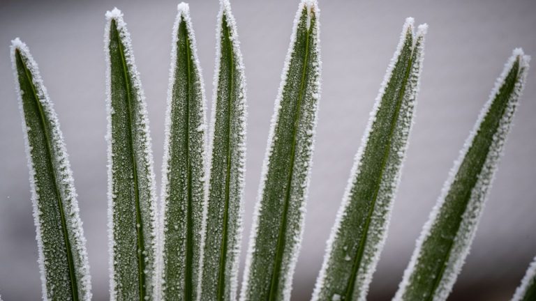 Wetter: Frostiges Jahresende in Hessen