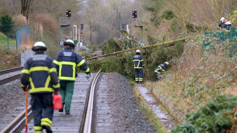 Sturmböen: Feuerwehreinsätze wegen Sturms im Norden